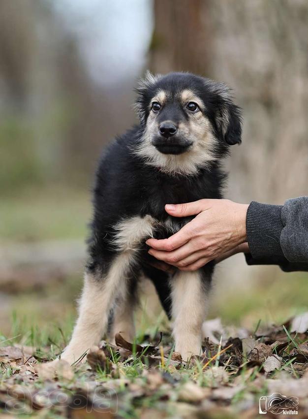 Малышка Юста ищет своих добрых людей.